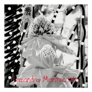 Pineapoles blancos y Poster de fresa