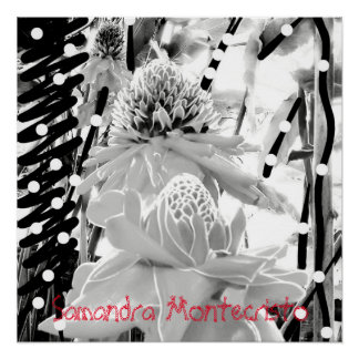 Pineapoles blancos y Poster de fresa