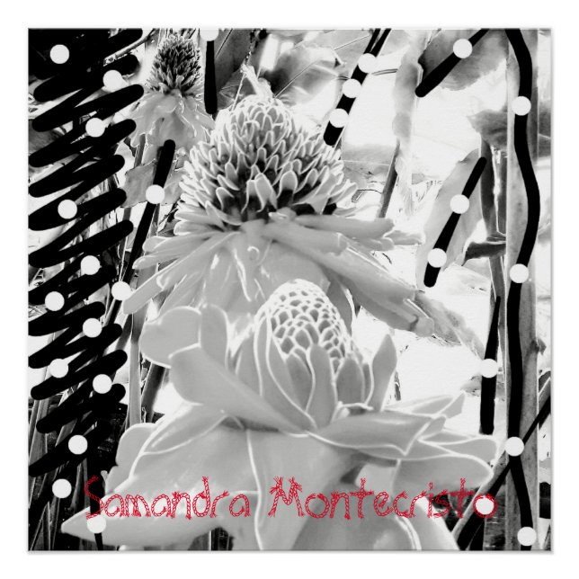 Pineapoles blancos y Poster de fresa (Anverso)