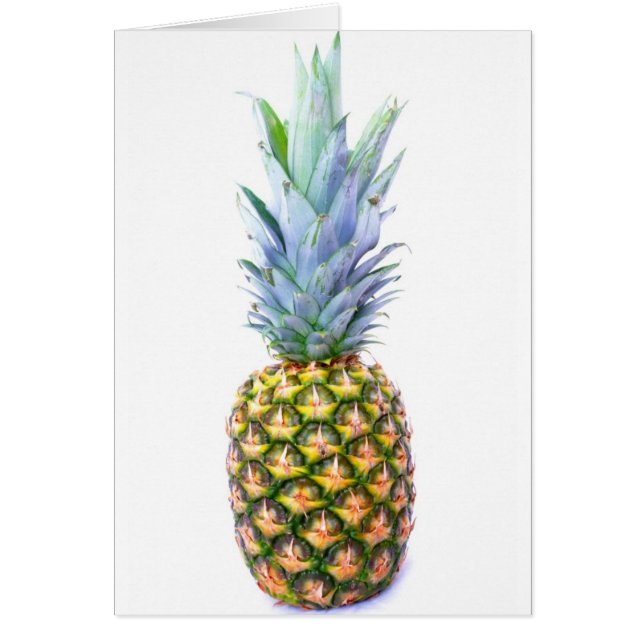 Pineapple Fruit Beach Dessert Colorido Tropical (Frente)