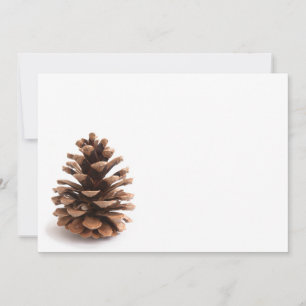 Pinecona