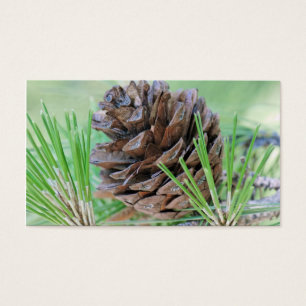 Pinecona