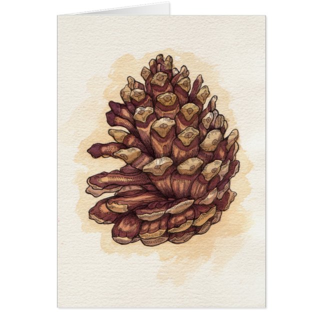 Pinecone (Frente)