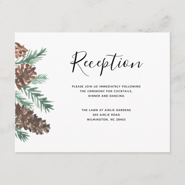 Pinecone de invierno | Detalles de la recepción de (Anverso)
