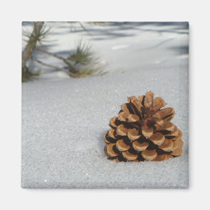 Pinecone en el imán de la nieve