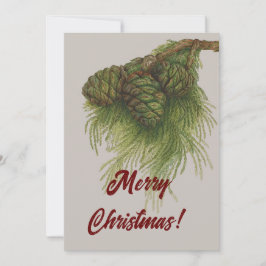 Pinecones Vintage Feliz Navidad