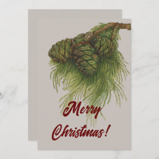 Pinecones Vintage Feliz Navidad