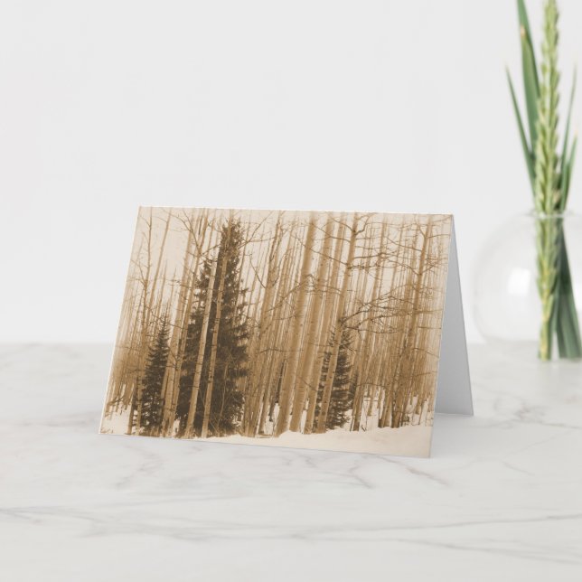 Pines en la tarjeta de felicitación mix - Blank In (Anverso)