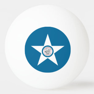 Ping Pong Bandera de la ciudad de Houston, Texas Pelota de P