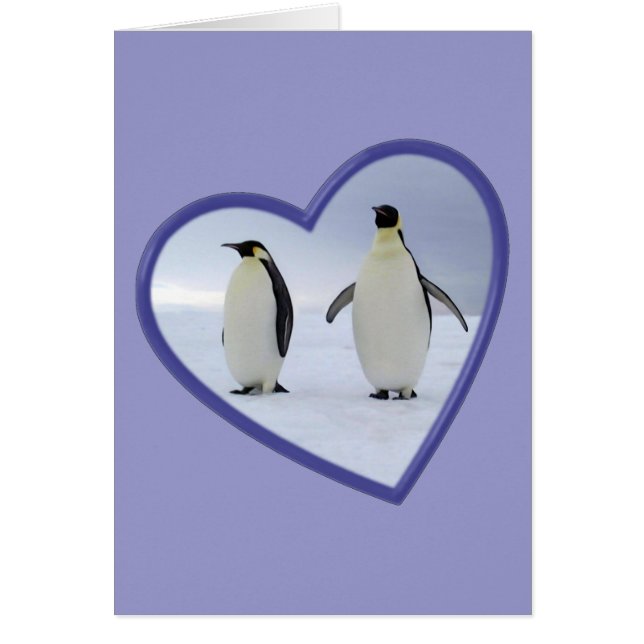 Pingüino de emperador (Frente)