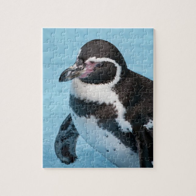 Pingüino de Magallanes  Rompecabezas (Vertical)