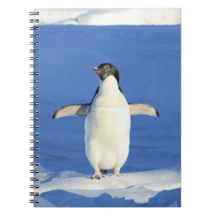 Pingüino en el cuaderno de nieve