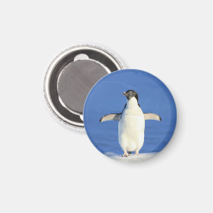 Pingüino en el imán de la nieve
