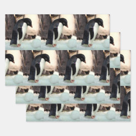 Pingüino - Hojas de papel envueltas