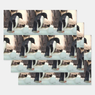 Pingüino - Hojas de papel envueltas