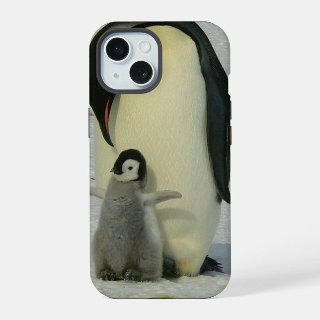 Pingüino mirando a polluelo (Reverso )