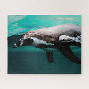Pingüino Nadador, Rompecabezas