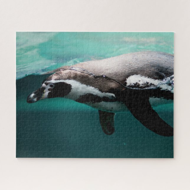 Pingüino Nadador, Rompecabezas (Horizontal)