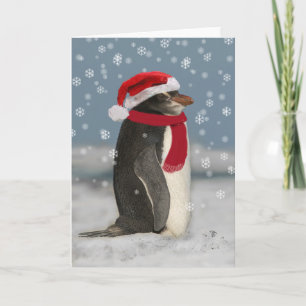 Pingüino navidad