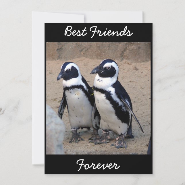 Pingüinos (Anverso)