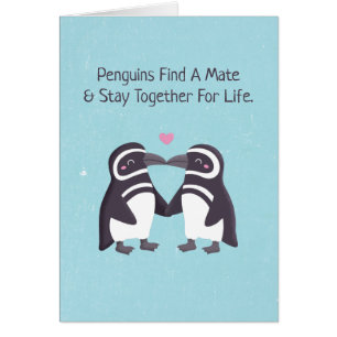 Pingüinos besándose, divertido eres mi marido ping