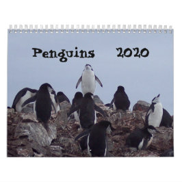 Pingüinos - Calendario 2020