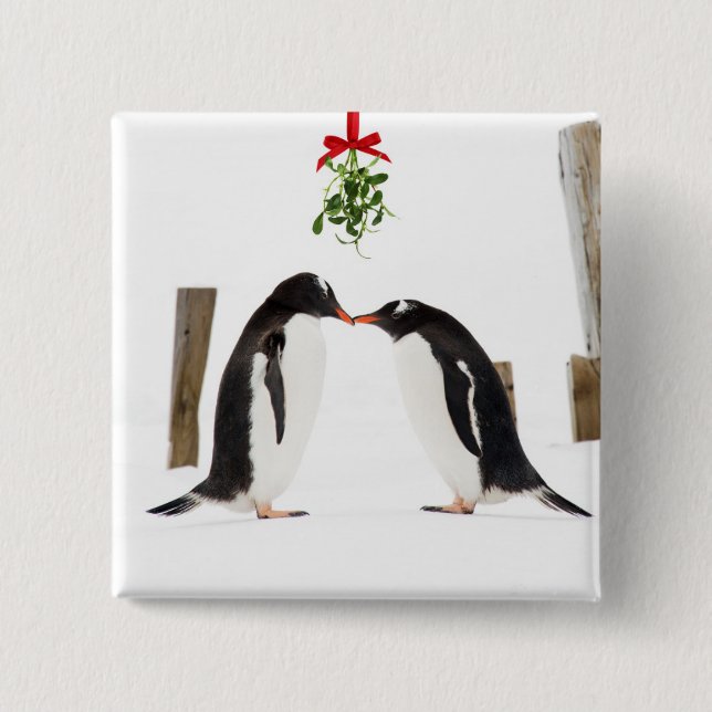 Pingüinos de Gentoo que se besan - botón (Anverso)