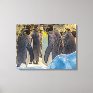Pingüinos en la impresión de lienzos con vistas al