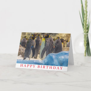 Pingüinos en la tarjeta de cumpleaños del zoológic