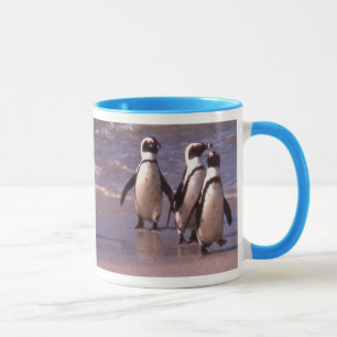 Pingüinos en la taza de la playa