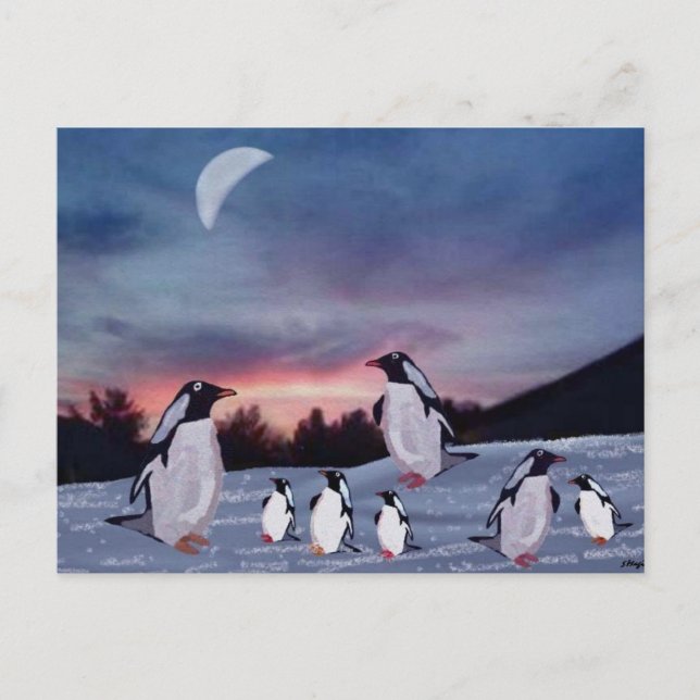 Pingüinos en postales de hielo (Anverso)