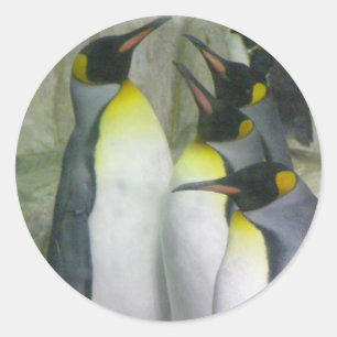pingüinos, pegatinas
