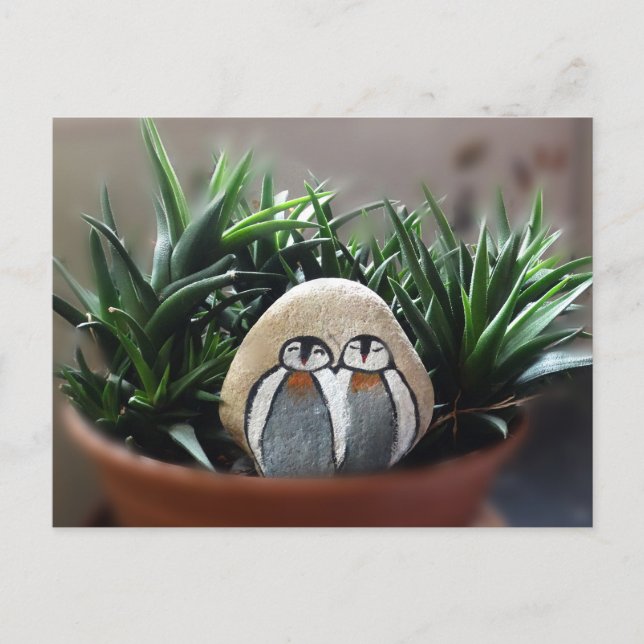 Pingüinos pintados con tarjeta postal de fotografí (Anverso)
