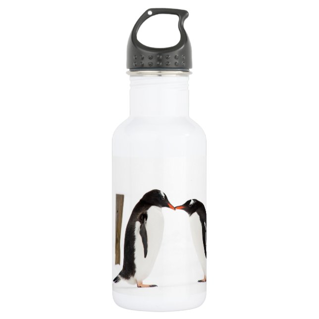 Pingüinos que se besan - botella de agua (Anverso)