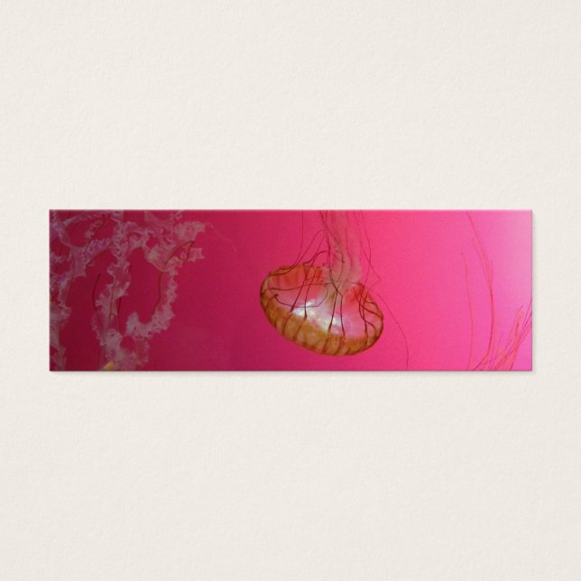Pink (Frente)
