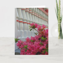 Pink Azaleas - Tarjeta de viñedo de Martha