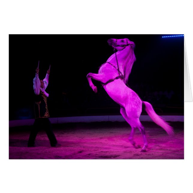 Pink Circus Horse (Anverso (Horizontal))