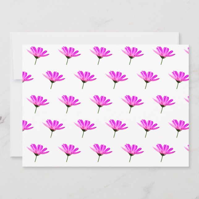 Pink Daisy (Anverso)