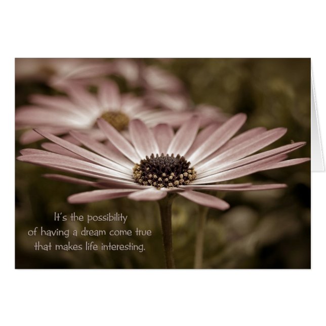 Pink Daisy (Anverso (Horizontal))