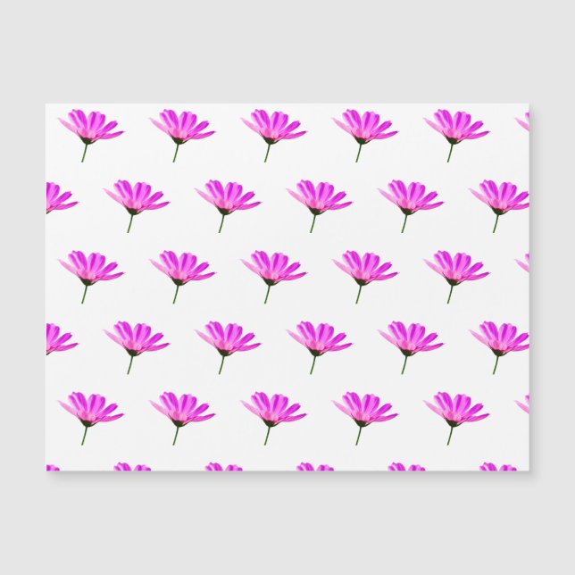 Pink Daisy (Anverso)