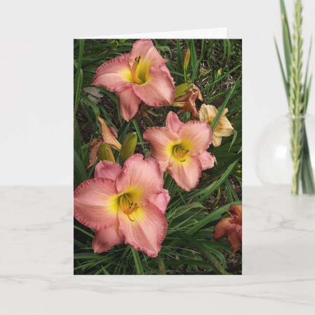 Pink Daylilies - Tarjeta de cumpleaños de la herma (Anverso)