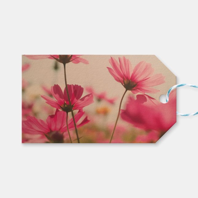 Pink Garden Cosmos Flores Etiqueta Regalo Rosa Rub (Frente (Horizontal))