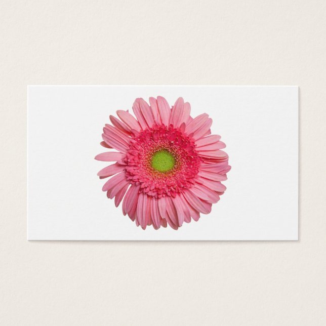 Pink Gerbera Daisy (Frente)