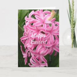 Pink Hyacinths Felices Tarjetas de Saludo de Pascu