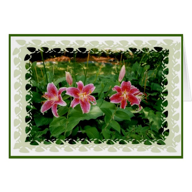Pink Lilies (Anverso (Horizontal))