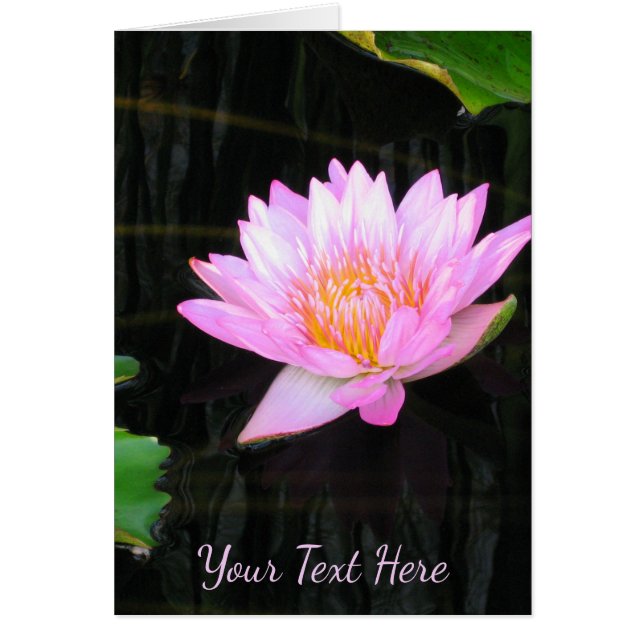 Pink Lotus Water (Frente)