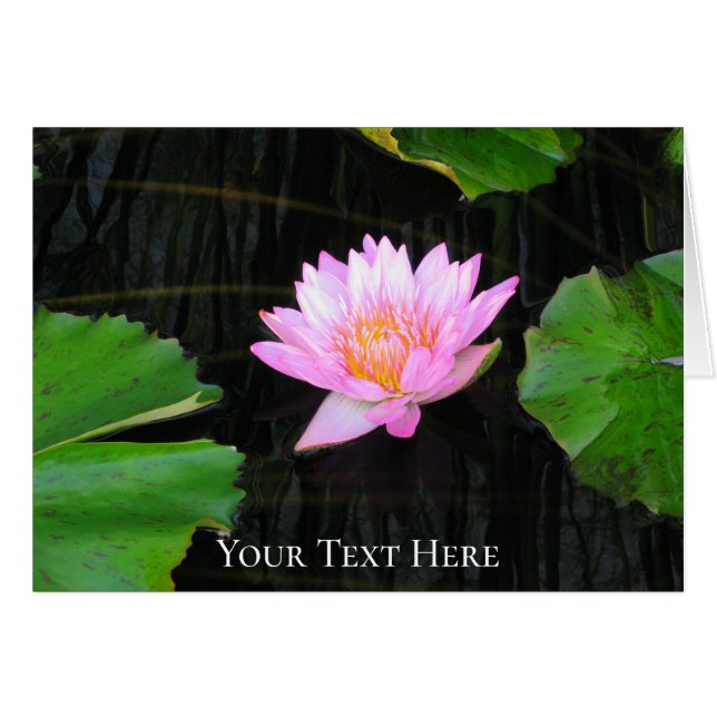 Pink Lotus Water (Anverso (Horizontal))