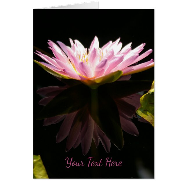 Pink Lotus Water (Frente)