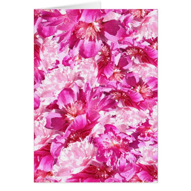 Pink & Magenta Peony Floral Pattern Blank (Frente)