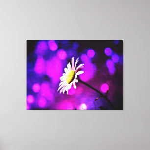 Pink N Amethyst Daisy Lienzo envuelto